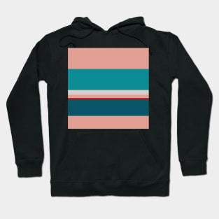 An attractive incorporation of Rouge, Blush, Silver, Dark Cyan and Philippine Indigo stripes. Hoodie